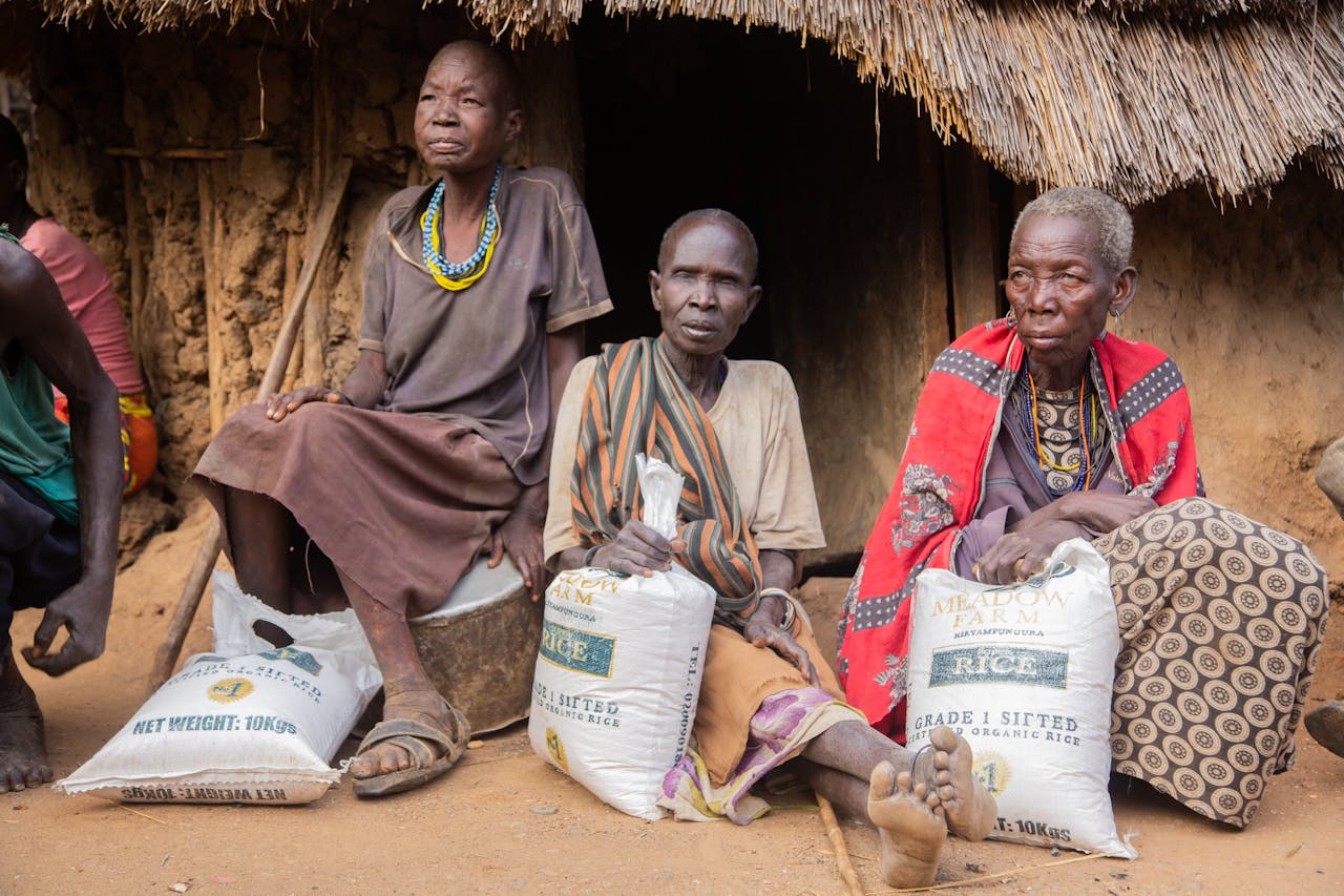 pexels photo 34249551.jpeg