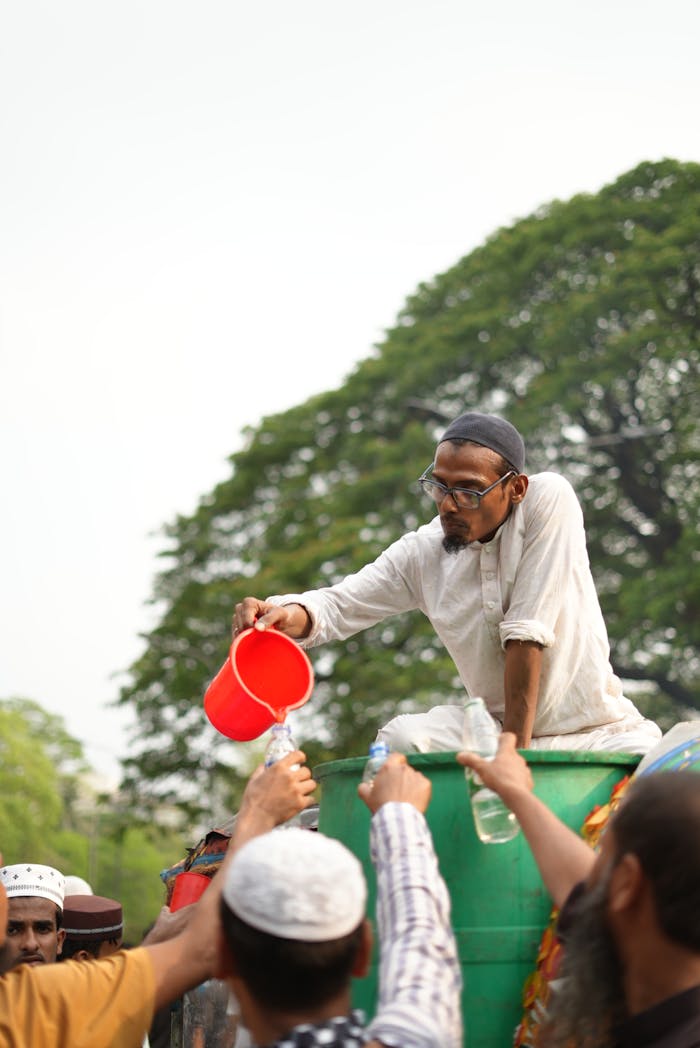 pexels photo 36850193.jpeg